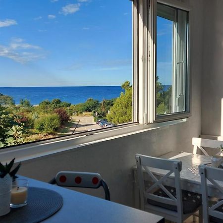 Pipo Apartment Mareda Novigrad Istria Exterior foto