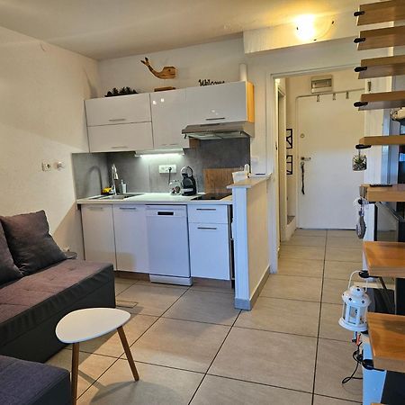 Pipo Apartment Mareda Novigrad Istria Exterior foto
