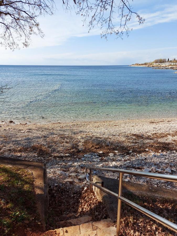 Pipo Apartment Mareda Novigrad Istria Exterior foto