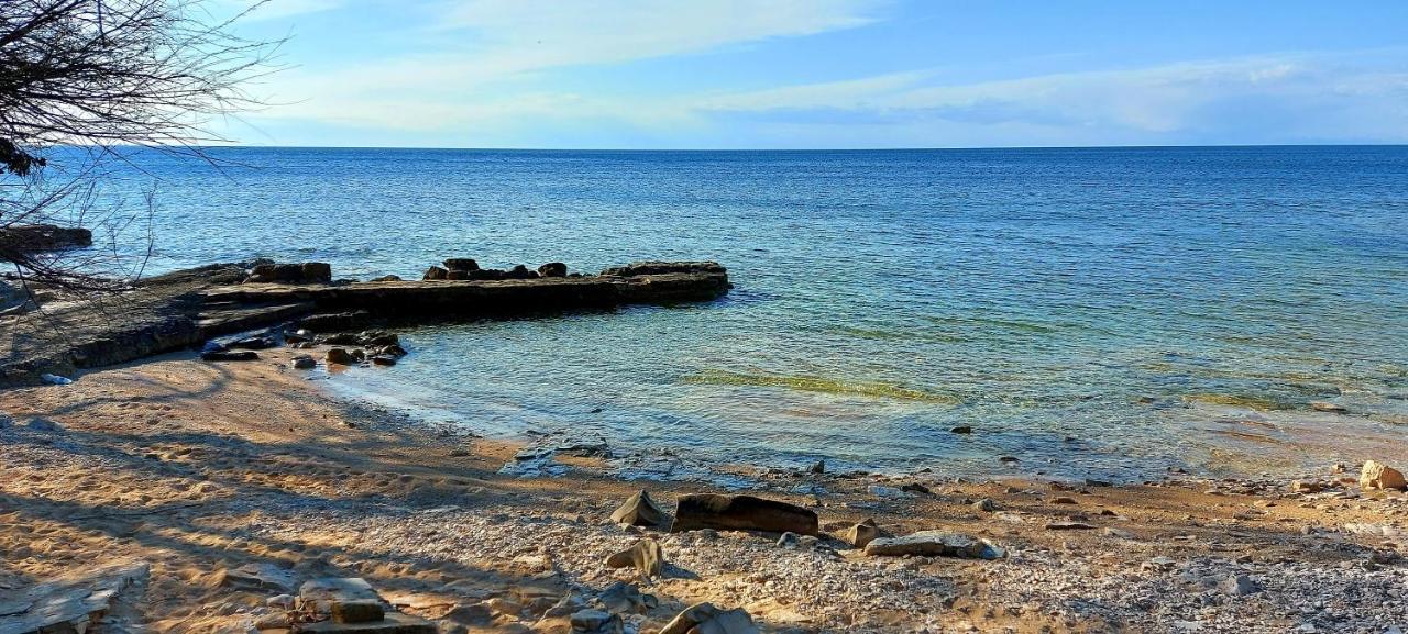 Pipo Apartment Mareda Novigrad Istria Exterior foto