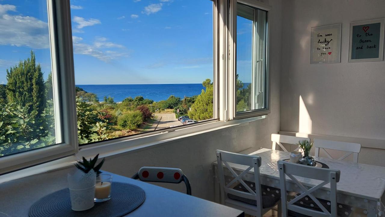 Pipo Apartment Mareda Novigrad Istria Exterior foto