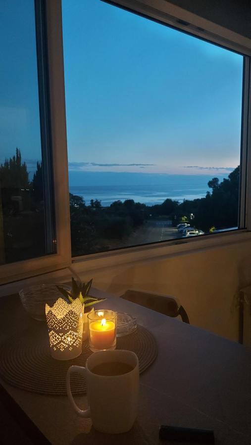 Pipo Apartment Mareda Novigrad Istria Exterior foto