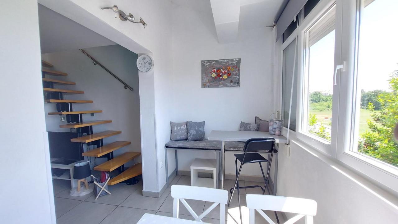Pipo Apartment Mareda Novigrad Istria Exterior foto